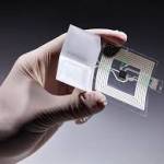 shital chaudhari profile picture